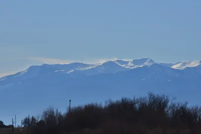 DSC_6045 (Large).JPG